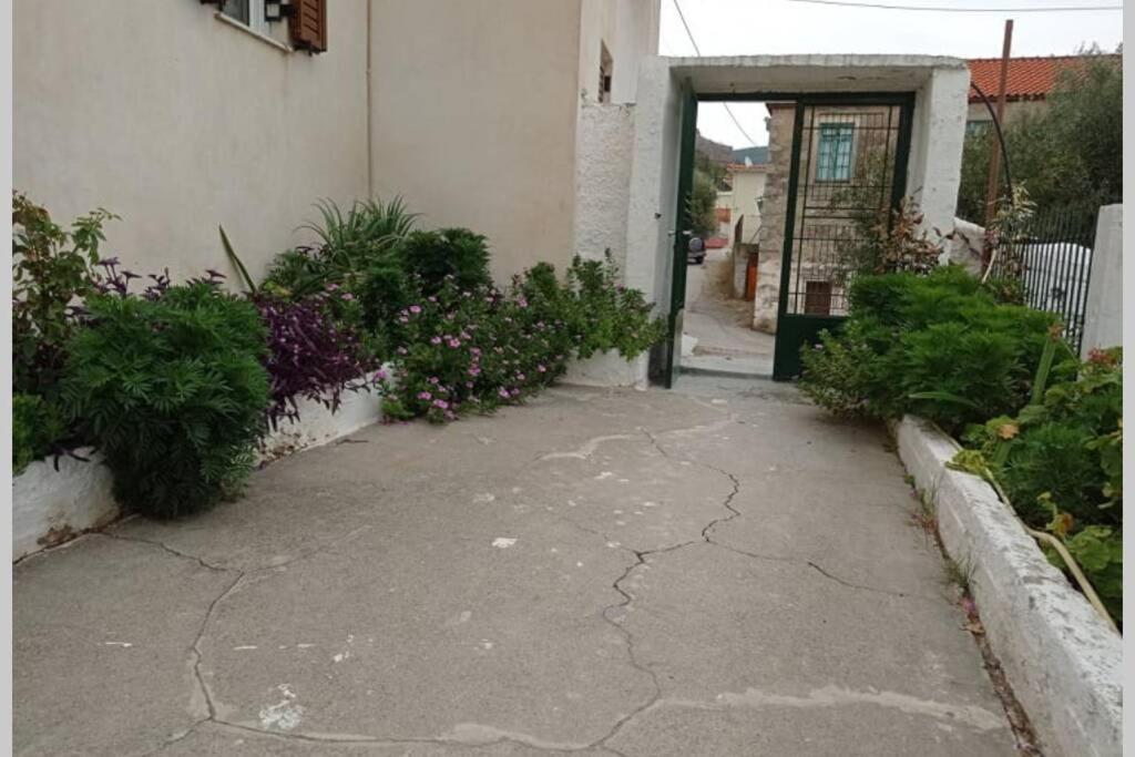 לאונידיון Afroditis'S & Makis'S Apartment 2 מראה חיצוני תמונה